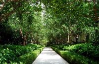 “尚品中秋 逸享佳节”2020尚臻媒体下午茶温馨落幕