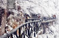 张家界旅游攻略&mdash;&mdash;怎么选择合适的季节和时间点出行