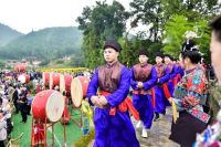 开镰庆丰收，2020丹寨丰收节喜迎八方宾客