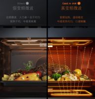 凯度全新力作TE微蒸烤一体机，于9月22日重磅首发！