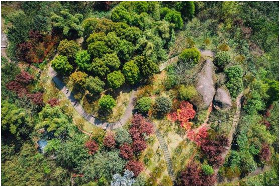 大城已成，水土奋力抒写高质量发展新篇章-中国网地产