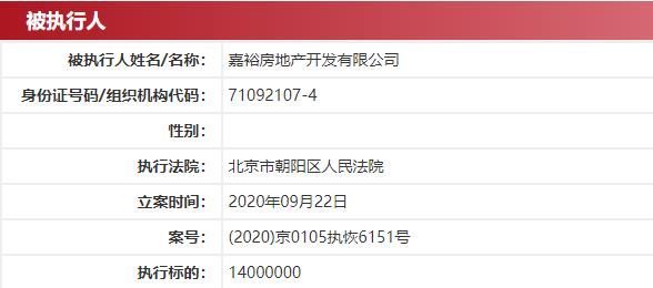 嘉裕房地产列为被执行人 执行标的1400万元-中国网地产