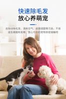 室内装修空气甲醛污染 除甲醛 新房急入住