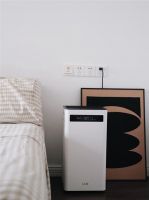 国庆安心宅家好伴侣 IAM空气净化器KJ500F