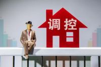最后仨月该不该买房？专家隔空“互撕”，王石、冯仑观点不谋而合