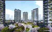 润达丰滨江:与城市共成长