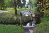 中科筑工∣森林康养政策、模式、案例，揭秘康养产业大商机