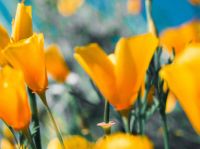 福利来啦!汝城碧桂园红包雨,品牌家电全城放送!