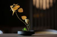 揉合传统与现代之美,木莲庄酒店打造简约舒适般体验