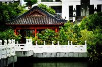 宁湖小院,浅山林畔丨重塑中式建筑的造极之作