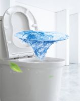 二十六年磨一剑 砺得梅花香