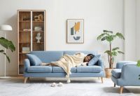 如何走进年轻人的家？维莎原木提供更多新意和选择