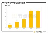 鸿坤地产资金困局