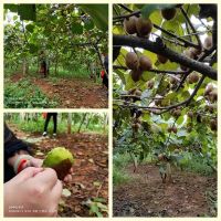 开心、甜蜜—2019年南昌嘉宝莉优秀会员省内一日游