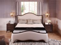 美国伊丽丝：连希尔顿酒店都在用的护脊床垫 用科技铸就实力