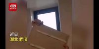 天下苦“惊装修”久已!这个城市的新政终于直击要害!