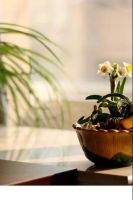 2020爱木周 | 与木为友，诗意“曼”生活