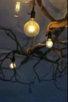 2020爱木周 | 与木为友，诗意“曼”生活