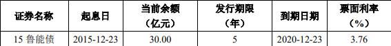 鲁能集团：拟发行20.4亿元公司债券-中国网地产