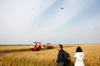 碧桂园首开全球万亩级无人农场先河：建三江无人农场科技感十足