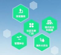 碧桂园首开全球万亩级无人农场先河：建三江无人农场科技感十足