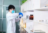 大王椰成板材界首个「中国品牌战略合作伙伴」，国货大牌何以铸就？