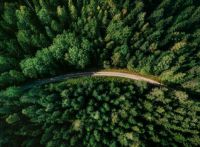 瑞士板材好不好？卢森最具性价比