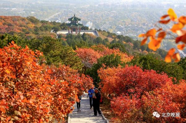 北京“官宣”了，这19处特色彩叶景区，美！-中国网地产