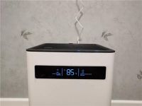 听我句劝，鼻炎敏感的人还是买台加湿器吧 