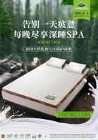 十大乳胶品牌排名「娜帕蒂卡」助力打造泰乳胶行业标杆