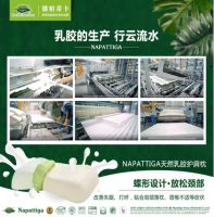 广州十大专业的乳胶品牌排行榜_娜帕蒂卡