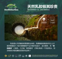 广州十大专业的乳胶品牌排行榜_娜帕蒂卡