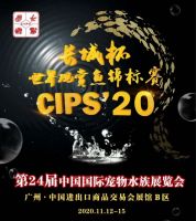 疫情后时代行业风向标2020长城展“全球趋势.领见未来”