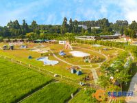 稻香满满!东莞这些美丽田园建设成果等你来打卡