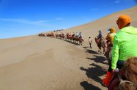 西北彻底火了，可还是在“喝西北风”