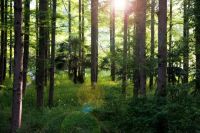 2020年世界标准日不忘保护地球，千年舟聚焦绿色标准和品质