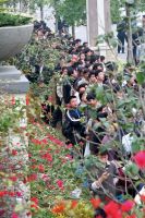 华发40年故事 陈茵：从建筑师到杰出商界女性的不凡路