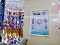 “新商新力量”丨大自然木门北京丰台经销商专访