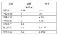 资色·深度丨扎堆发行美元债 房企“广屯粮”还债