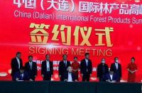 “2020首届中国国际林产品高峰论坛”成功举办 打响塑造国际木业中心第一炮