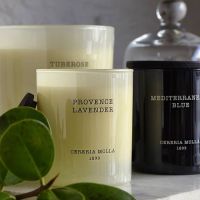 香氛的季节丨罗浮宫带你种草INS超暖香气