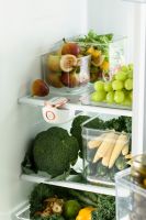 提升幸福感的生活好物，摩飞冰箱除味器来了