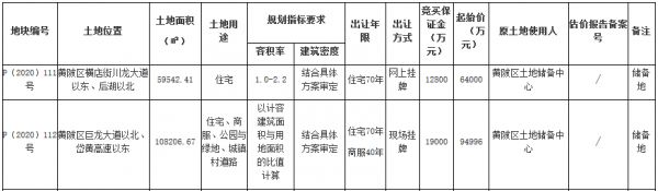 武汉市16.7亿元出让2宗地块 南德集团7.2亿元竞得一宗-中国网地产