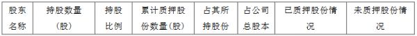 三湘印象：三湘控股解除质押4000万股公司股份 占总股本的3.26%-中国网地产