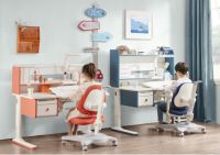 护童：儿童学习桌行业“中国消费品市场高质量发展优选品牌”