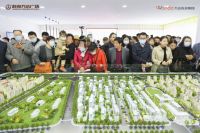 盛况共鉴,鼎沸全城 | 静海万达品牌馆璀璨绽放