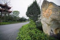 酒企整合、品牌打造、绿色健康&middot;&middot;&middot;江阳&ldquo;酒&rdquo;这样干