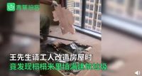 住了五年的榻榻米，拆开竟发现满是建筑垃圾