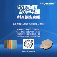 “实木板材 致敬中国”福湘中南四省联动活动引爆双十一