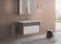 里程碑时刻！大白卫浴正式成为小米生态链企业